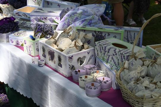 Zamojskie Dni Folkloru w Zwierzyńcu - galeria zdjęć