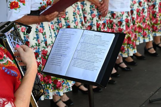 Zamojskie Dni Folkloru w Zwierzyńcu - galeria zdjęć