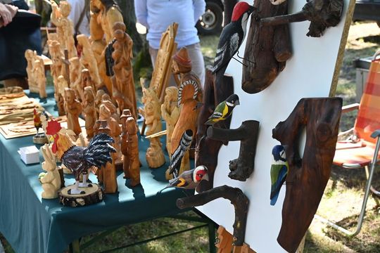 Zamojskie Dni Folkloru w Zwierzyńcu - galeria zdjęć