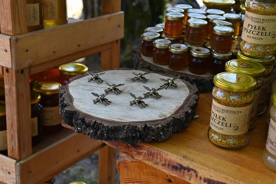 Zamojskie Dni Folkloru w Zwierzyńcu - galeria zdjęć