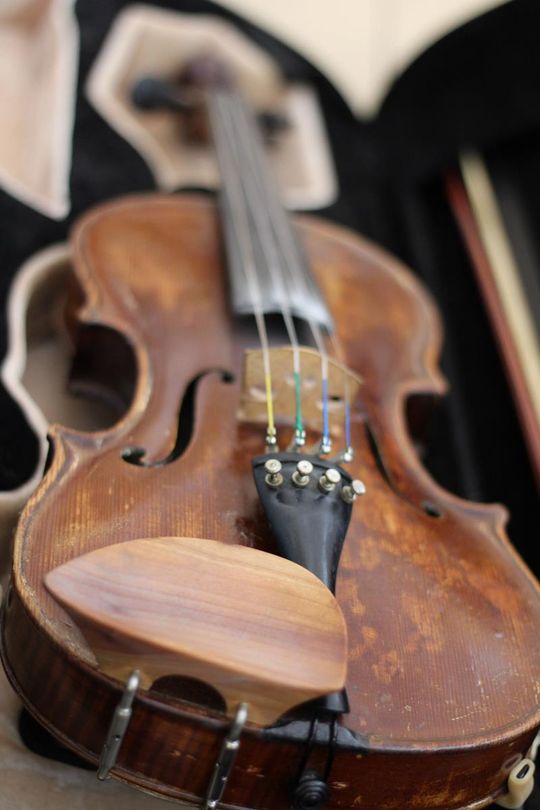 Srebrne Gryfy w Tomaszowie Lubelskim - galeria zdjęć