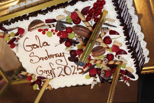 Srebrne Gryfy w Tomaszowie Lubelskim - galeria zdjęć