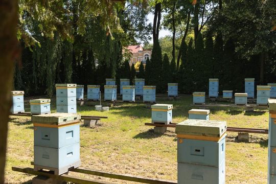 XXXVII Wystawa Maszyn i Urządzeń Rolniczych w Sitnie - galeria zdjęć