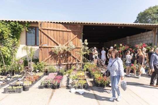 XXXVII Wystawa Maszyn i Urządzeń Rolniczych w Sitnie - galeria zdjęć XXXVII Wystawa Maszyn i Urządzeń Rolniczych w Sitnie - galeria zdjęć