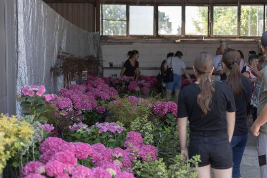 XXXVII Wystawa Maszyn i Urządzeń Rolniczych w Sitnie - galeria zdjęć