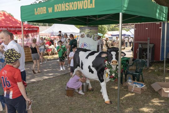 XXXVII Wystawa Maszyn i Urządzeń Rolniczych w Sitnie - galeria zdjęć
