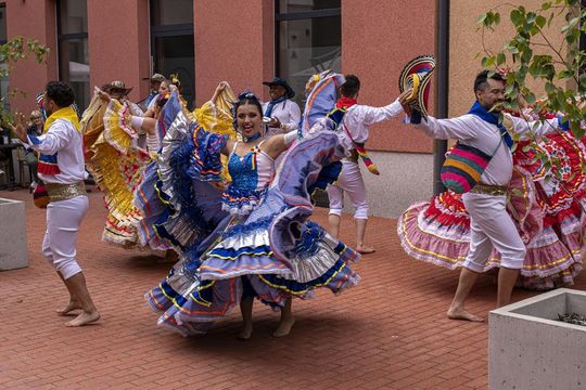 Eurofolk 2025 w Zamościu - galeria zdjęć