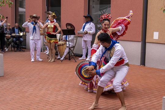Eurofolk 2025 w Zamościu - galeria zdjęć