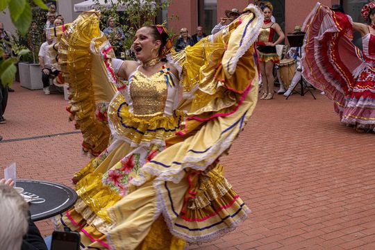 Eurofolk 2025 w Zamościu - galeria zdjęć