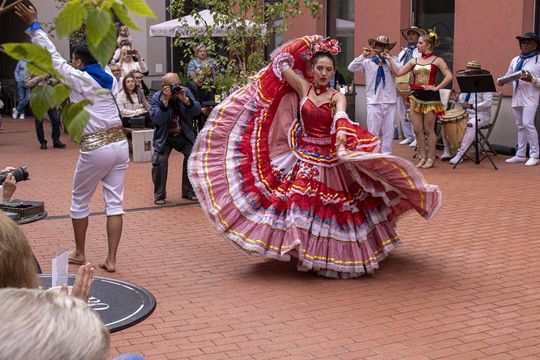 Eurofolk 2025 w Zamościu - galeria zdjęć