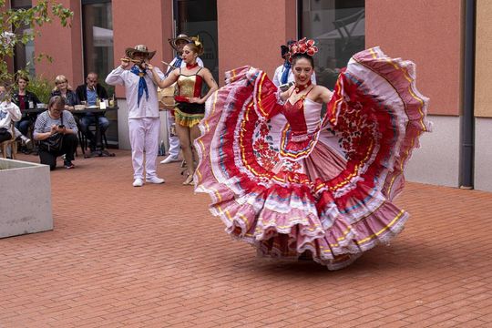 Eurofolk 2025 w Zamościu - galeria zdjęć