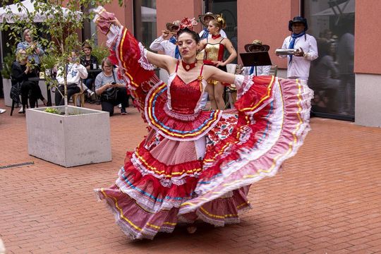 Eurofolk 2025 w Zamościu - galeria zdjęć