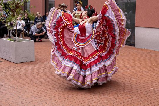 Eurofolk 2025 w Zamościu - galeria zdjęć