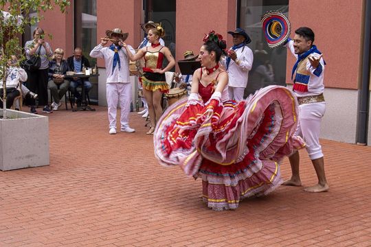 Eurofolk 2025 w Zamościu - galeria zdjęć