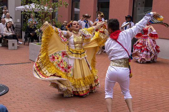 Eurofolk 2025 w Zamościu - galeria zdjęć