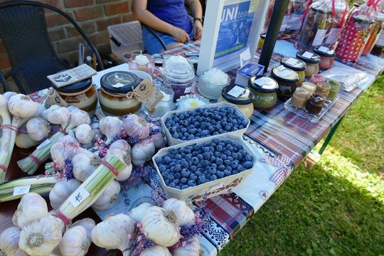 Sumin: III Festiwal im. Marianny Gumieli - galeria zdjęć