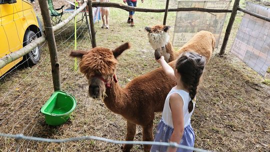 Gaj Gruszczański: Piknik Rodzinny „Wakacje w rytmie zdrowia” [ZDJĘCIA]
