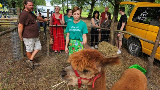 Gaj Gruszczański: Piknik Rodzinny „Wakacje w rytmie zdrowia” [ZDJĘCIA]