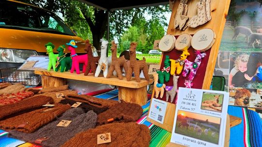 Gaj Gruszczański: Piknik Rodzinny „Wakacje w rytmie zdrowia” [ZDJĘCIA]