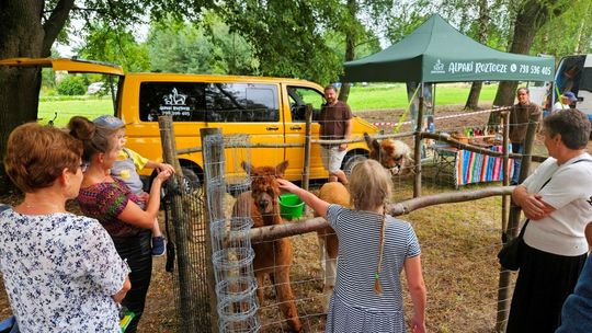 Gaj Gruszczański: Piknik Rodzinny „Wakacje w rytmie zdrowia” [ZDJĘCIA]
