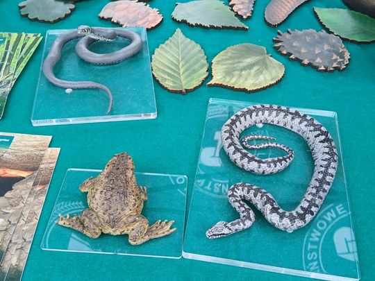 Roztoczański Park Narodowy miał dzień otwarty [ZDJĘCIA]