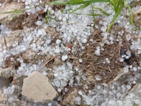 Burze z gradem przeszły przez gminę Zamość [ZDJĘCIA]