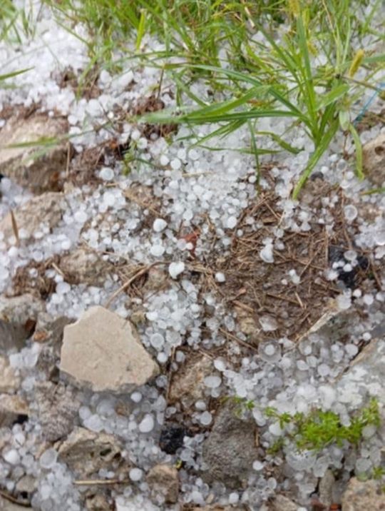 Burze z gradem przeszły przez gminę Nielisz [ZDJĘCIA]