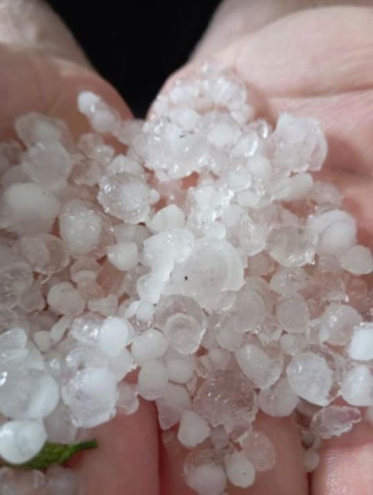 Burze z gradem przeszły przez gminę Nielisz [ZDJĘCIA]