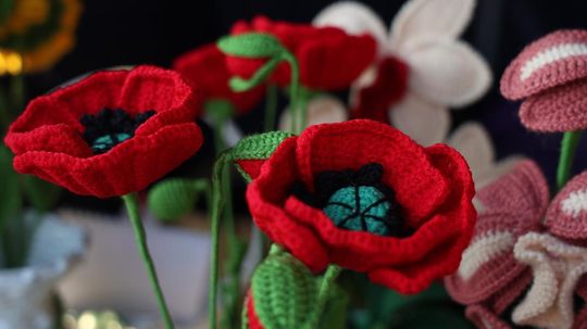 Dni Bełżca i Jarmark św. Wawrzyńca [GALERIA ZDJĘĆ]