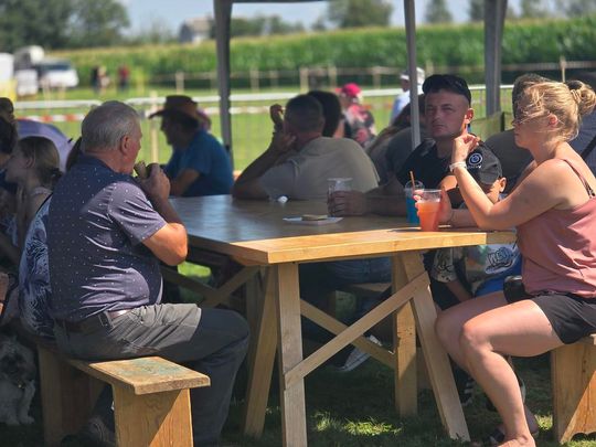 Wojewódzka Wystawa Koni Zimnokrwistych w Tucznej [GALERIA ZDJĘĆ]