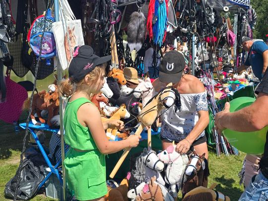 Wojewódzka Wystawa Koni Zimnokrwistych w Tucznej [GALERIA ZDJĘĆ]