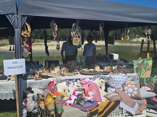 Wojewódzka Wystawa Koni Zimnokrwistych w Tucznej [GALERIA ZDJĘĆ]