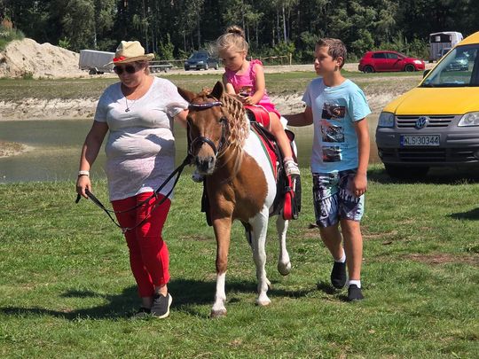 Wojewódzka Wystawa Koni Zimnokrwistych w Tucznej [GALERIA ZDJĘĆ]