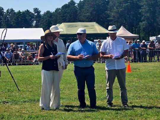 Wojewódzka Wystawa Koni Zimnokrwistych w Tucznej [GALERIA ZDJĘĆ]