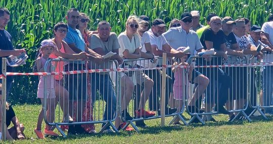 Wojewódzka Wystawa Koni Zimnokrwistych w Tucznej [GALERIA ZDJĘĆ]