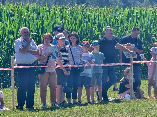 Wojewódzka Wystawa Koni Zimnokrwistych w Tucznej [GALERIA ZDJĘĆ]