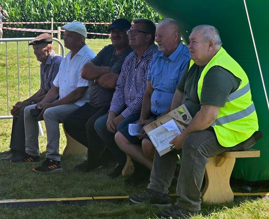 Wojewódzka Wystawa Koni Zimnokrwistych w Tucznej [GALERIA ZDJĘĆ]