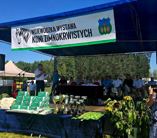 Wojewódzka Wystawa Koni Zimnokrwistych w Tucznej [GALERIA ZDJĘĆ]