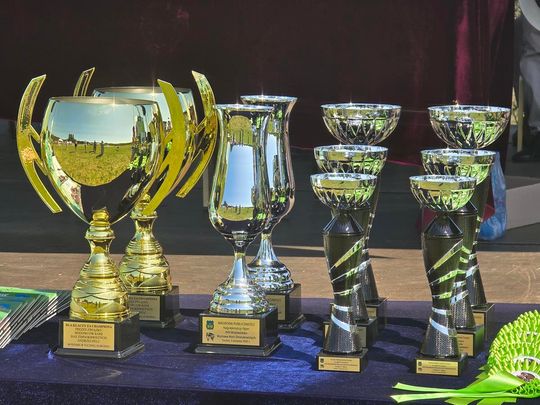 Wojewódzka Wystawa Koni Zimnokrwistych w Tucznej [GALERIA ZDJĘĆ]