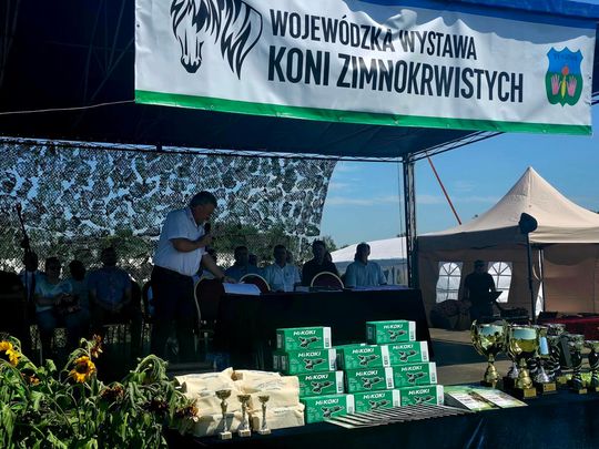 Wojewódzka Wystawa Koni Zimnokrwistych w Tucznej [GALERIA ZDJĘĆ]
