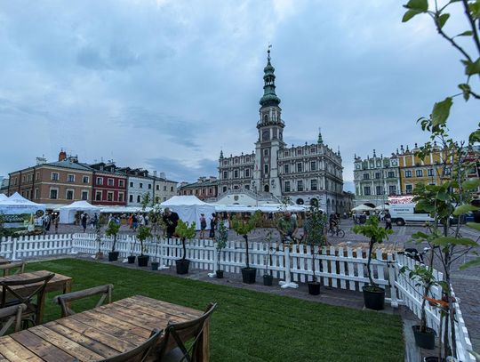 Zamojskie Winogranie czas zacząć. Rynek Wielki już gotowy na imprezę [ZDJĘCIA]
