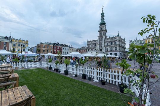 Zamojskie Winogranie. Przygotowania na Rynku Wielkim w Zamościu - galeria zdjęć Zamojskie Winogranie. Przygotowania na Rynku Wielkim w Zamościu - galeria zdjęć