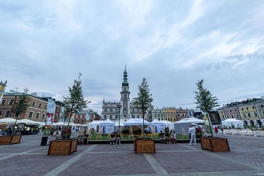 Zamojskie Winogranie. Przygotowania na Rynku Wielkim w Zamościu - galeria zdjęć