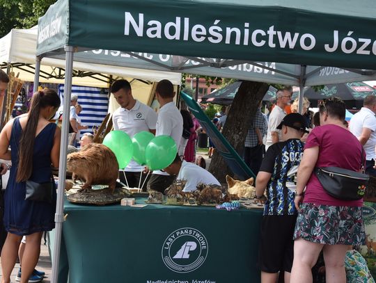 Józefów: Jubileusz 300-lecia miasta [ZDJĘCIA]