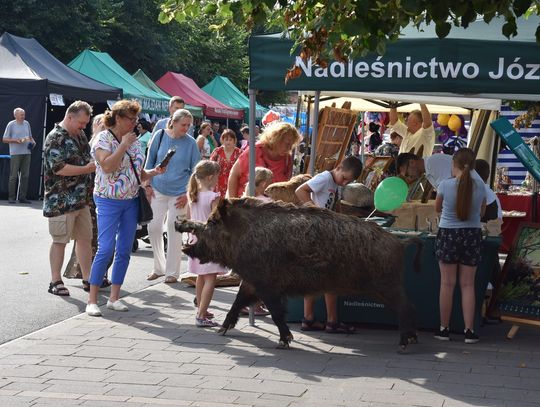 Józefów: Jubileusz 300-lecia miasta [ZDJĘCIA]