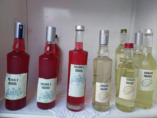 Jedziemy po Mariolkę. W Michalowie będzie wesele w stylu PRL-u [ZDJĘCIA CZ. 1]