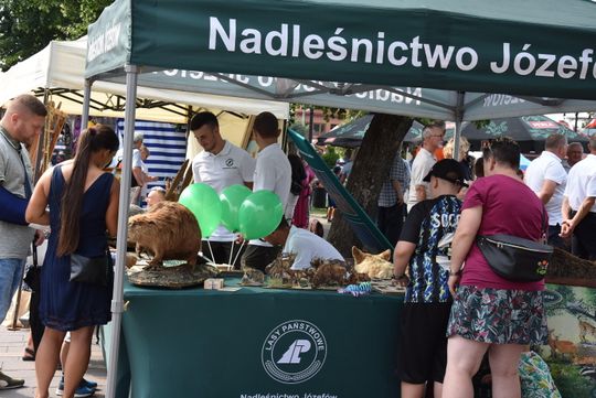 Józefów: Jubileusz 300-lecia miasta [ZDJĘCIA]