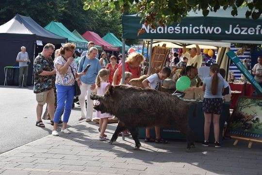 Józefów: Jubileusz 300-lecia miasta [ZDJĘCIA]