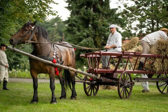 Dni Powiatu Tomaszowskiego z Marszałkiem Piłsudskim, rekonstruktorami i kabaretem OT.TO [ZDJĘCIA]