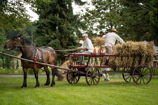 Dni Powiatu Tomaszowskiego z Marszałkiem Piłsudskim, rekonstruktorami i kabaretem OT.TO [ZDJĘCIA]